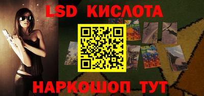 прущие грибы Владимир