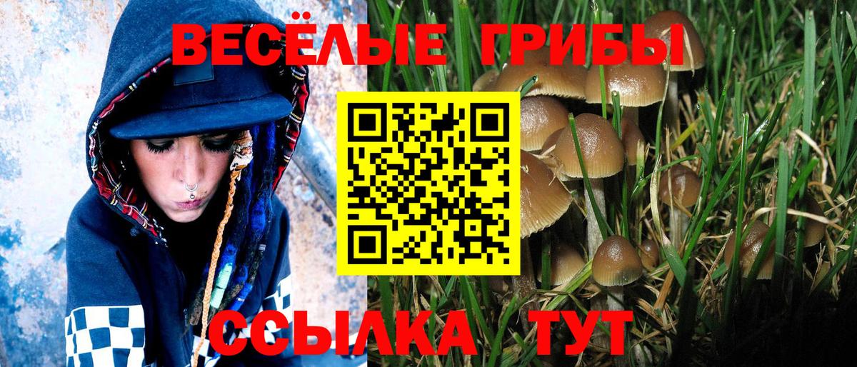 Псилоцибиновые грибы прущие грибы Рузаевка